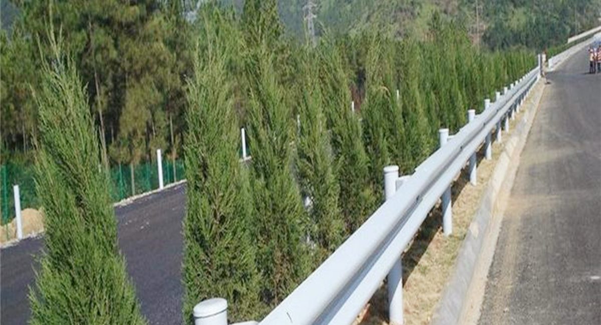 波形護(hù)欄板、鄉(xiāng)村道路護(hù)欄、單波護(hù)欄板世騰加工定制